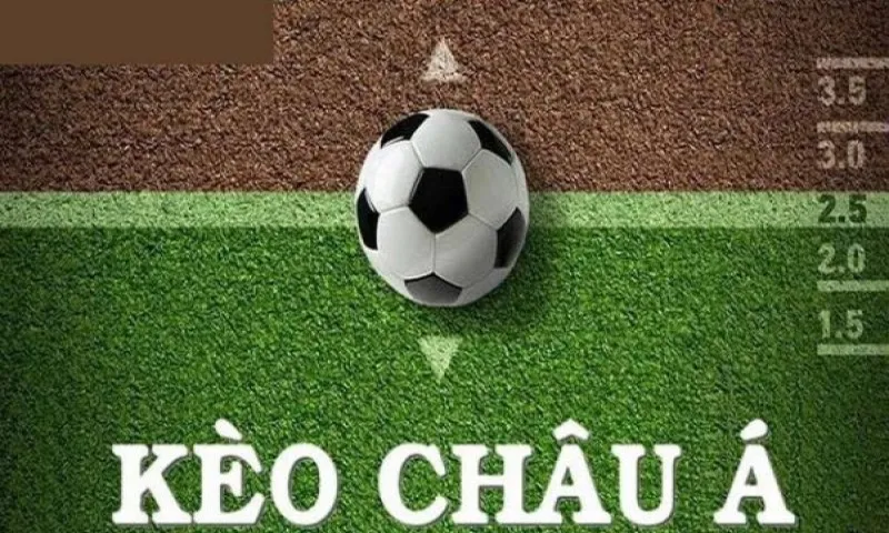 Cách đọc kèo cá cược chấp 1/4 chi tiết nhất